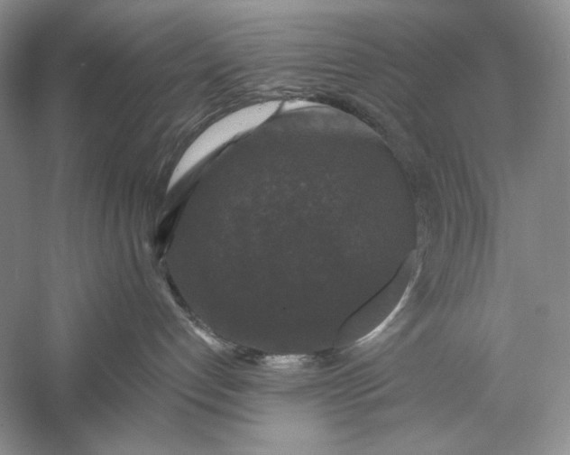 X0000056000192200509092055