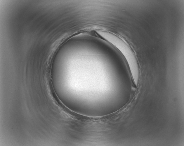 X0000056000193200509092055