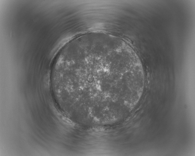 X0000056000194200509092055