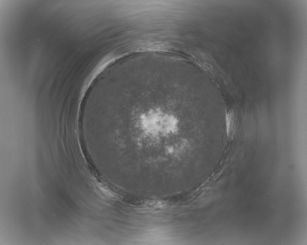 X0000056000195200509092055