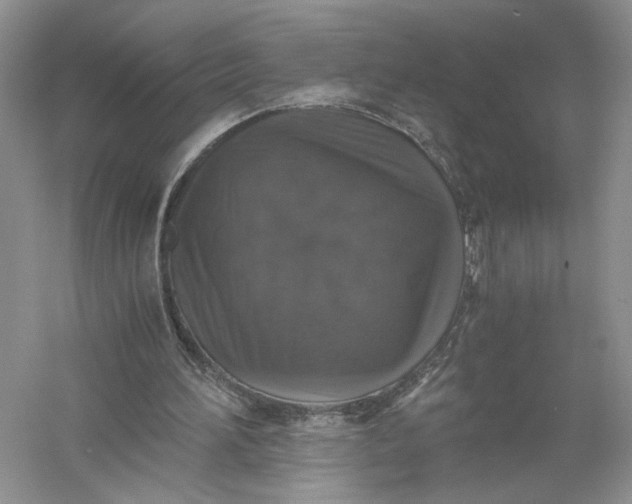 X0000056000196200509092054