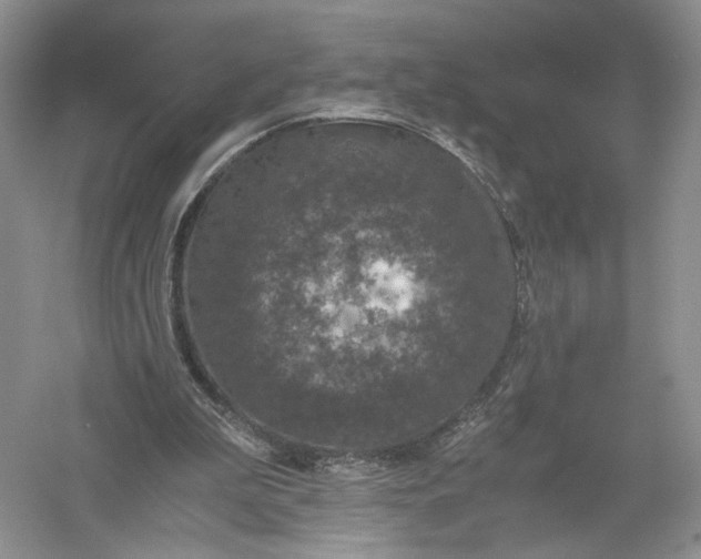 X0000056000199200509092054