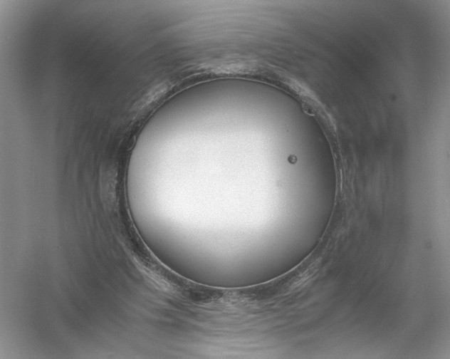 X0000056000201200509092054