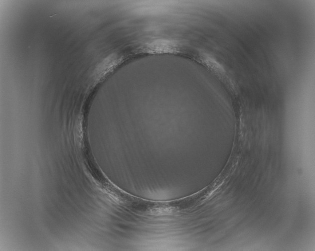 X0000056000202200509092054