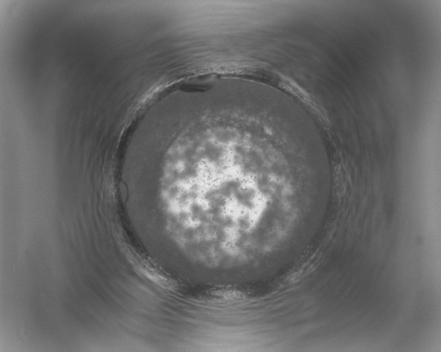 X0000056000203200509092054