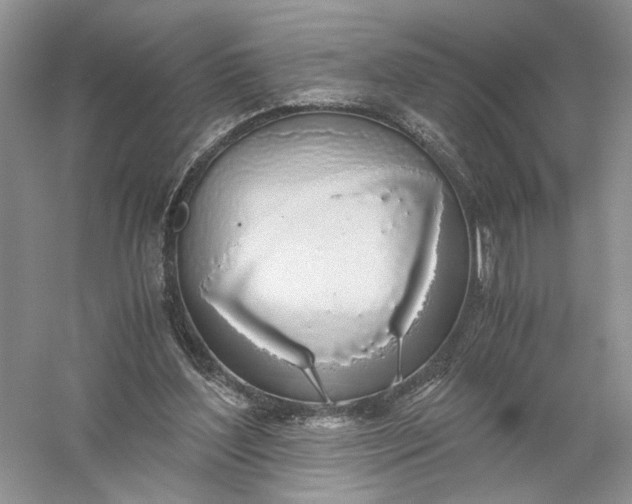 X0000056000204200509092054