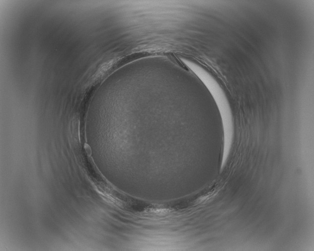 X0000056000205200509092054