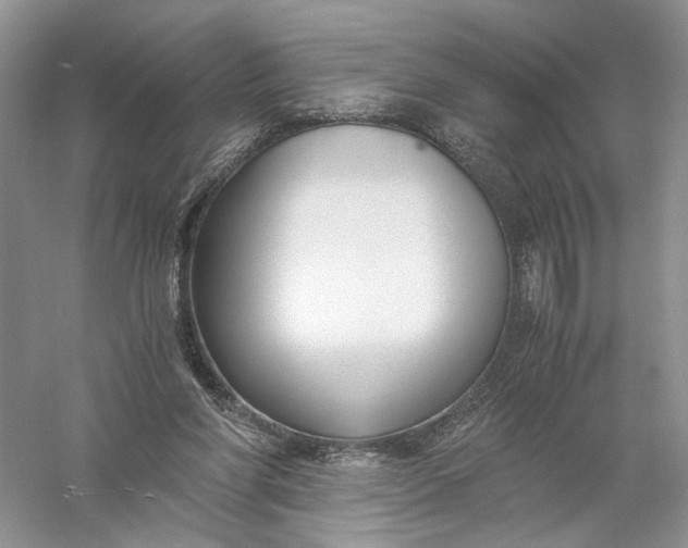 X0000056000206200509092054