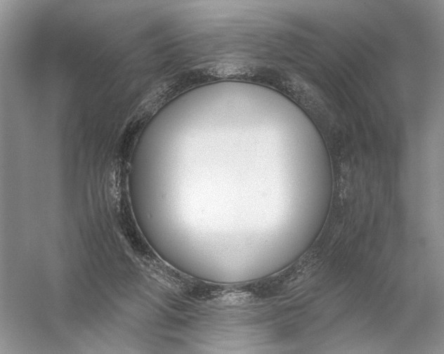 X0000056000210200509092054