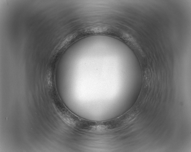 X0000056000212200509092054