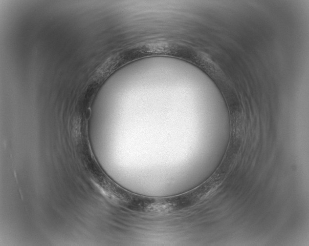 X0000056000213200509092054