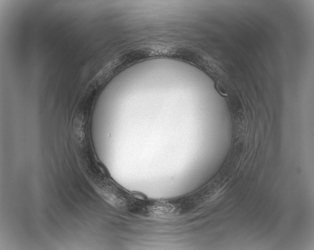 X0000056000215200509092054