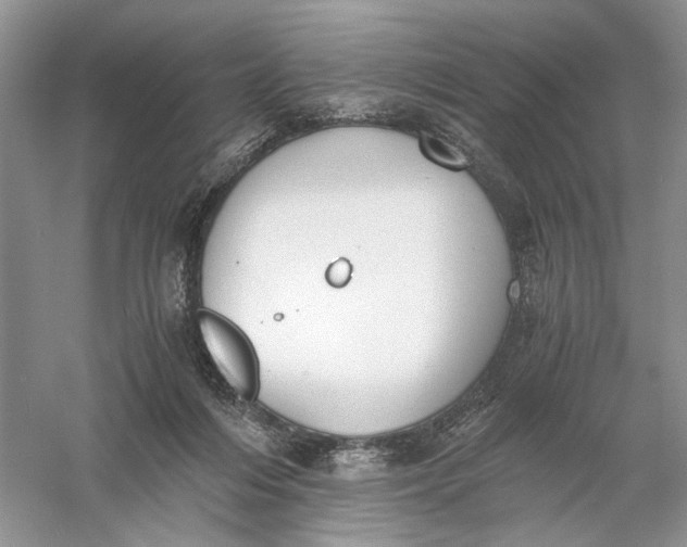 X0000056000216200509092054