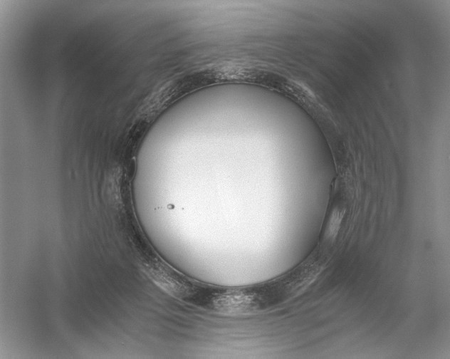 X0000056000217200509092054