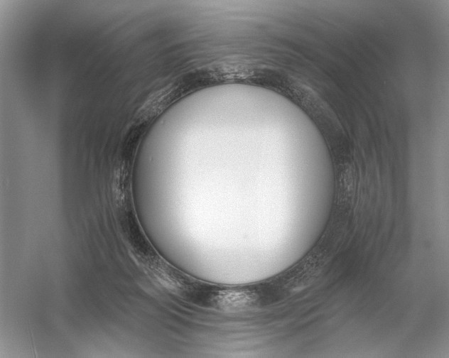 X0000056000218200509092054