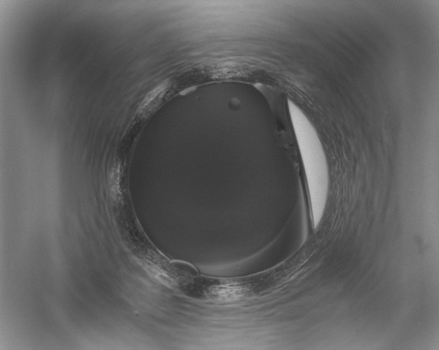 X0000056000219200509092054