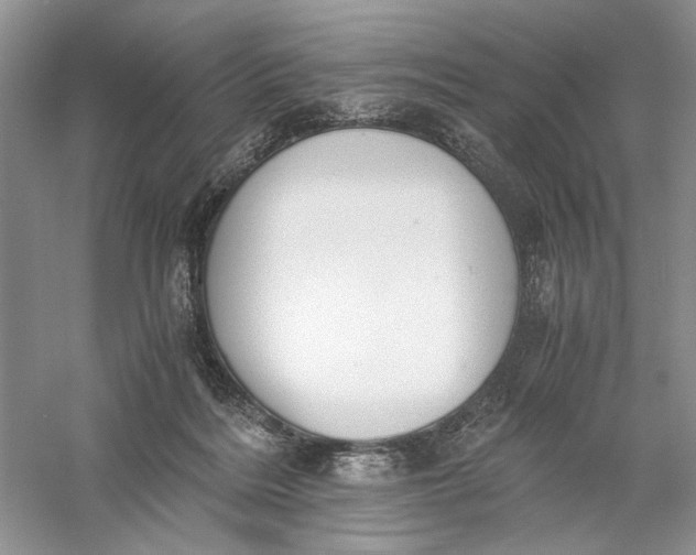 X0000056000220200509092054