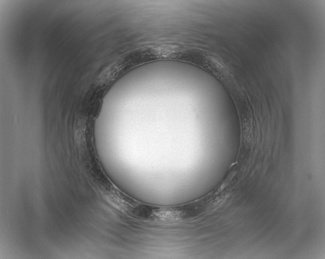 X0000056000221200509092054