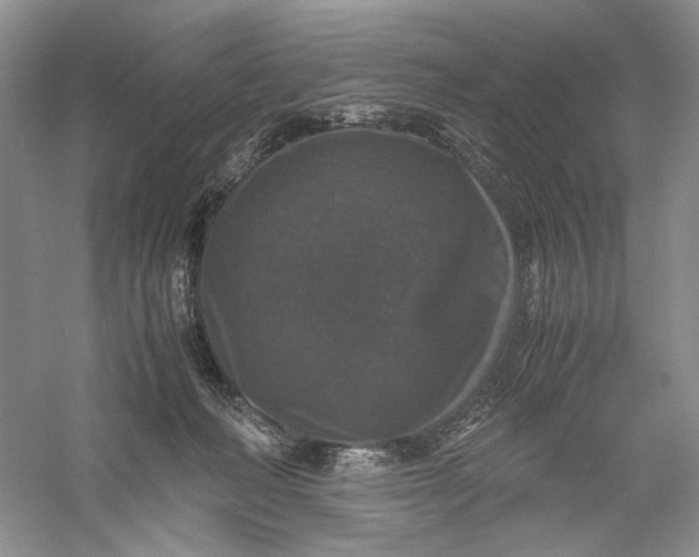 X0000056000222200509092054