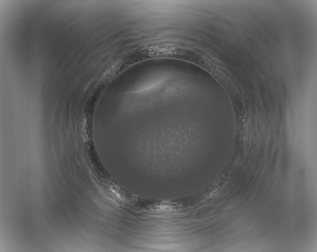 X0000056000224200509092054