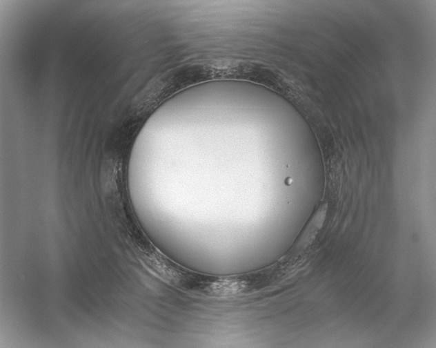 X0000056000225200509092054