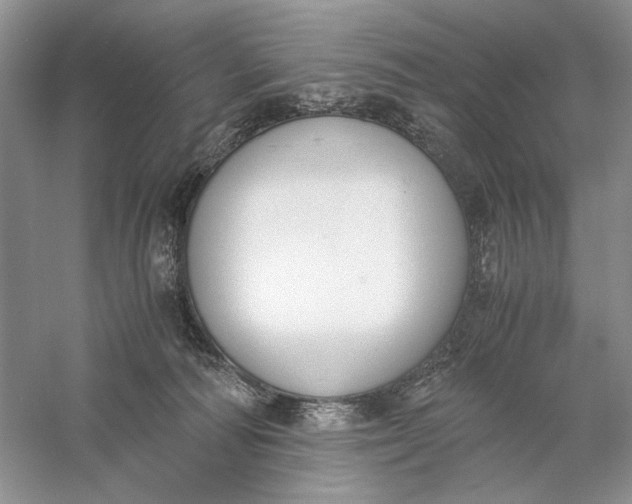 X0000056000226200509092054