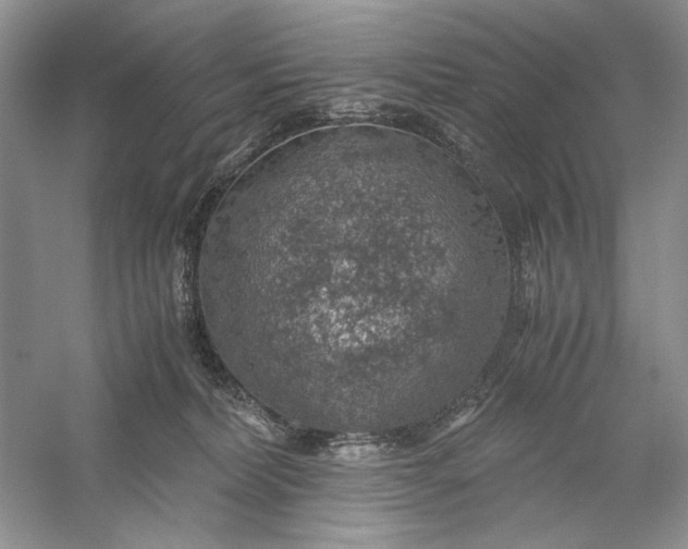 X0000056000228200509092054