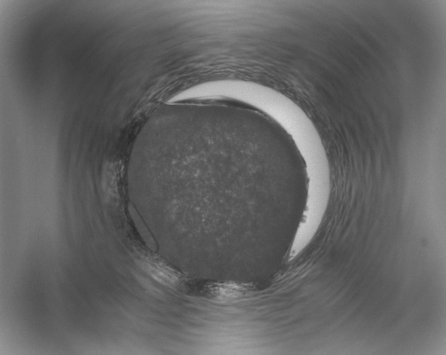 X0000056000229200509092054