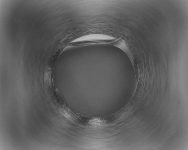 X0000056000231200509092054