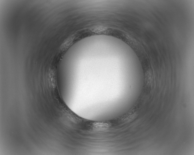 X0000056000234200509092054