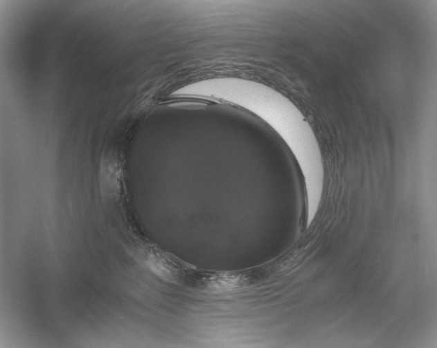 X0000056000235200509092054