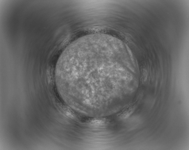 X0000056000236200509092054