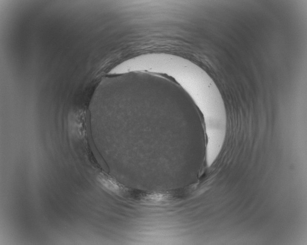 X0000056000237200509092054