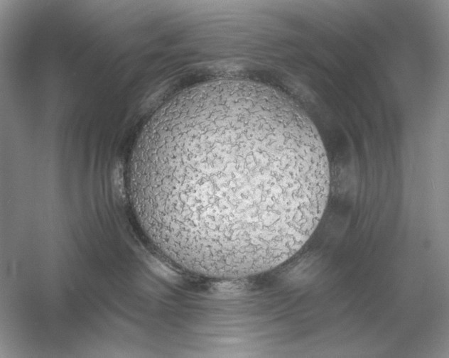 X0000056000238200509092054