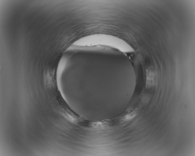 X0000056000239200509092054