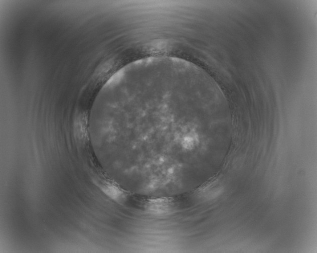 X0000056000240200509092054