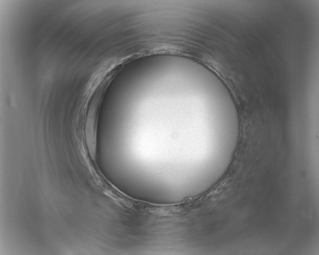 X0000056000241200509092053