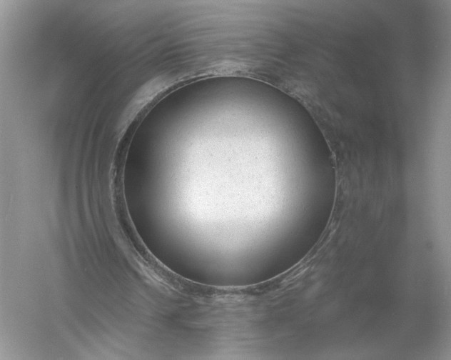 X0000056000242200509092053