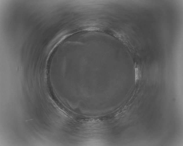 X0000056000243200509092053