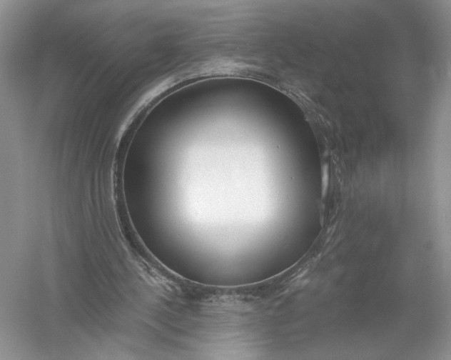 X0000056000244200509092053