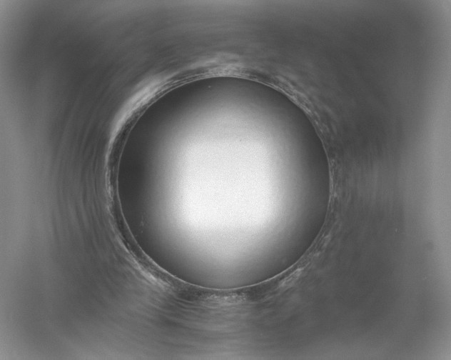 X0000056000245200509092053