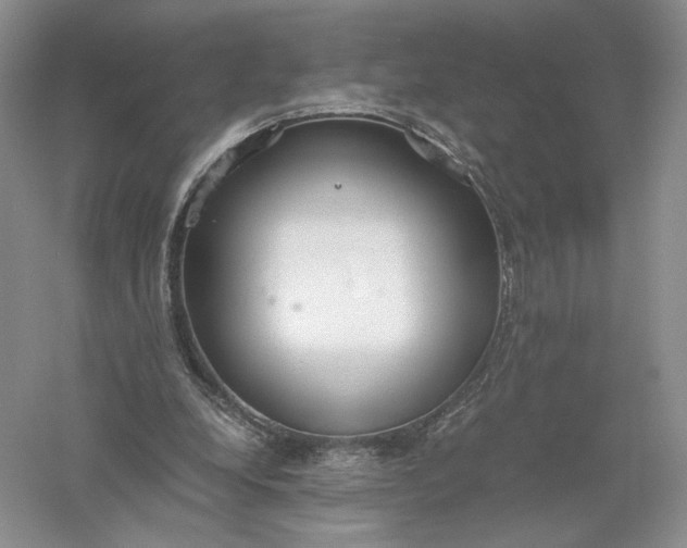 X0000056000248200509092053