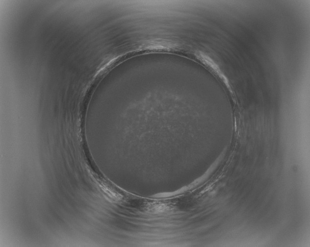 X0000056000249200509092053