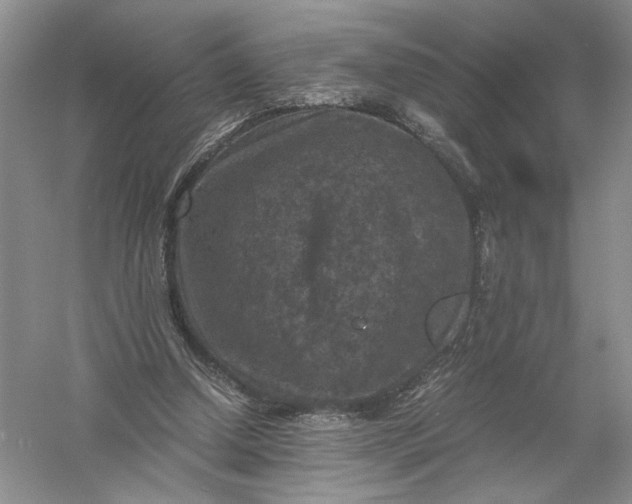 X0000056000250200509092053