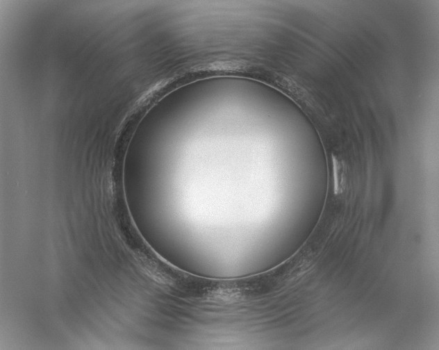 X0000056000252200509092053