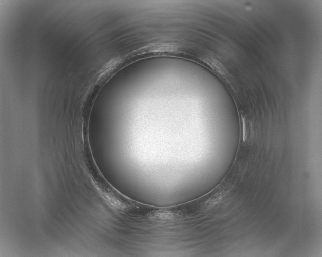 X0000056000253200509092053