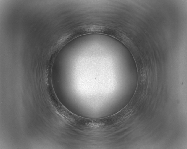 X0000056000255200509092053