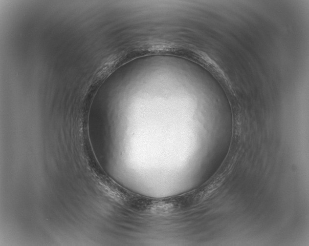 X0000056000257200509092053