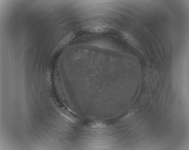 X0000056000258200509092053