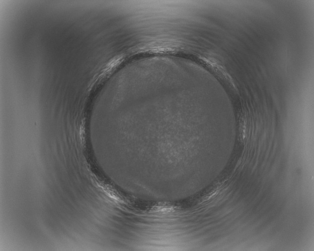 X0000056000260200509092053